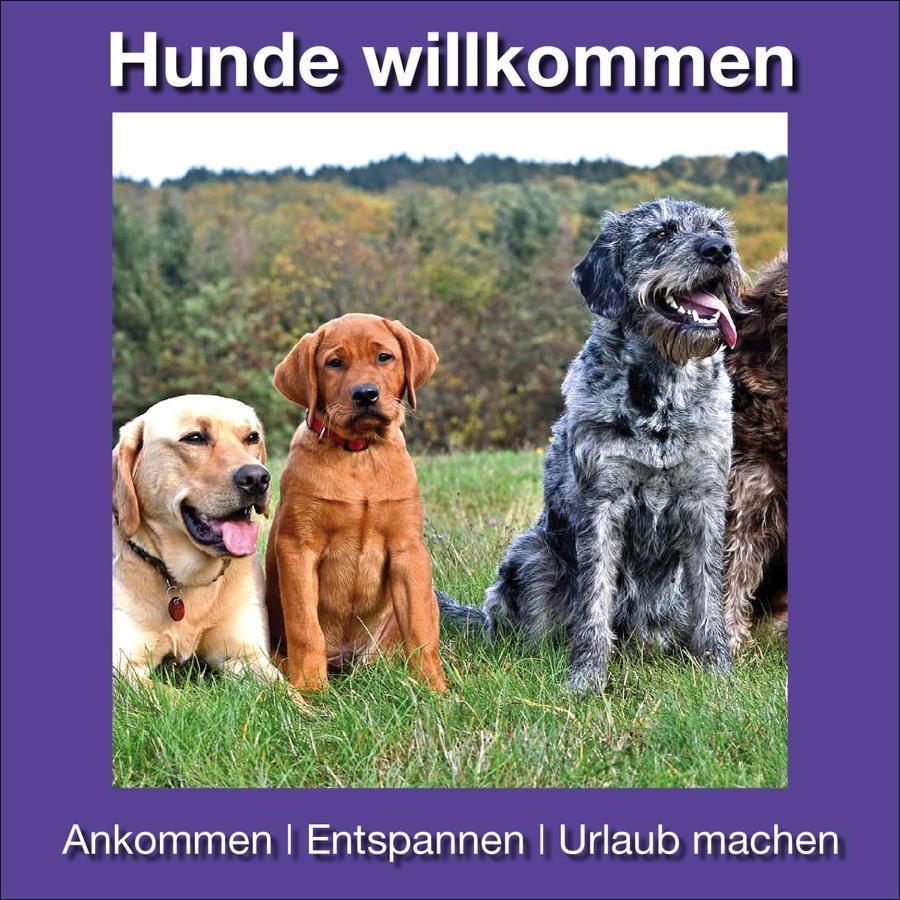 Ferienwohnung Beckendorf Losheim Ngoại thất bức ảnh